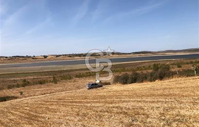 CB KİNG'DEN BALIKESİR / ALTIEYLÜL SELİMİYE MAHALLESİ SATILIK TARLA