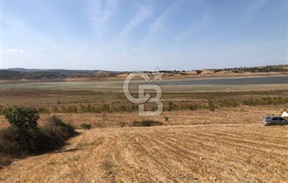 CB KİNG'DEN BALIKESİR / ALTIEYLÜL SELİMİYE MAHALLESİ SATILIK TARLA