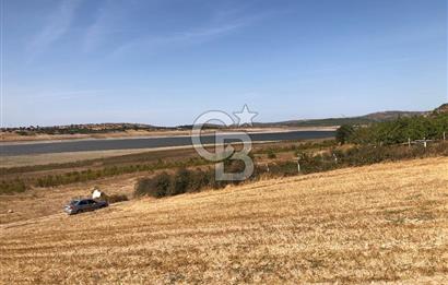 CB KİNG'DEN BALIKESİR / ALTIEYLÜL SELİMİYE MAHALLESİ SATILIK TARLA