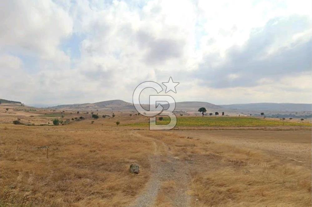 Balkesir Karesi de Satılık 19.000m2 Tek Taplu Tarla