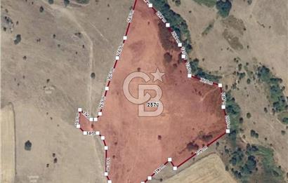 Balkesir Karesi de Satılık 19.000m2 Tek Taplu Tarla