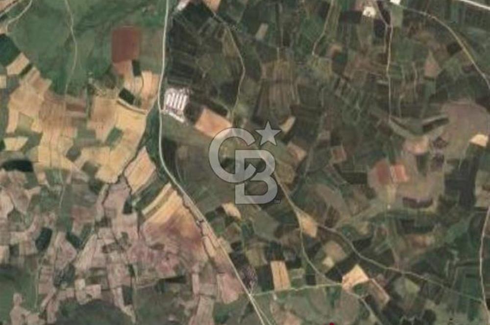 Balkesir Karesi de Satılık 19.000m2 Tek Taplu Tarla