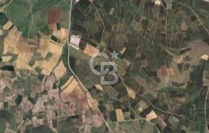 Balkesir Karesi de Satılık 19.000m2 Tek Taplu Tarla