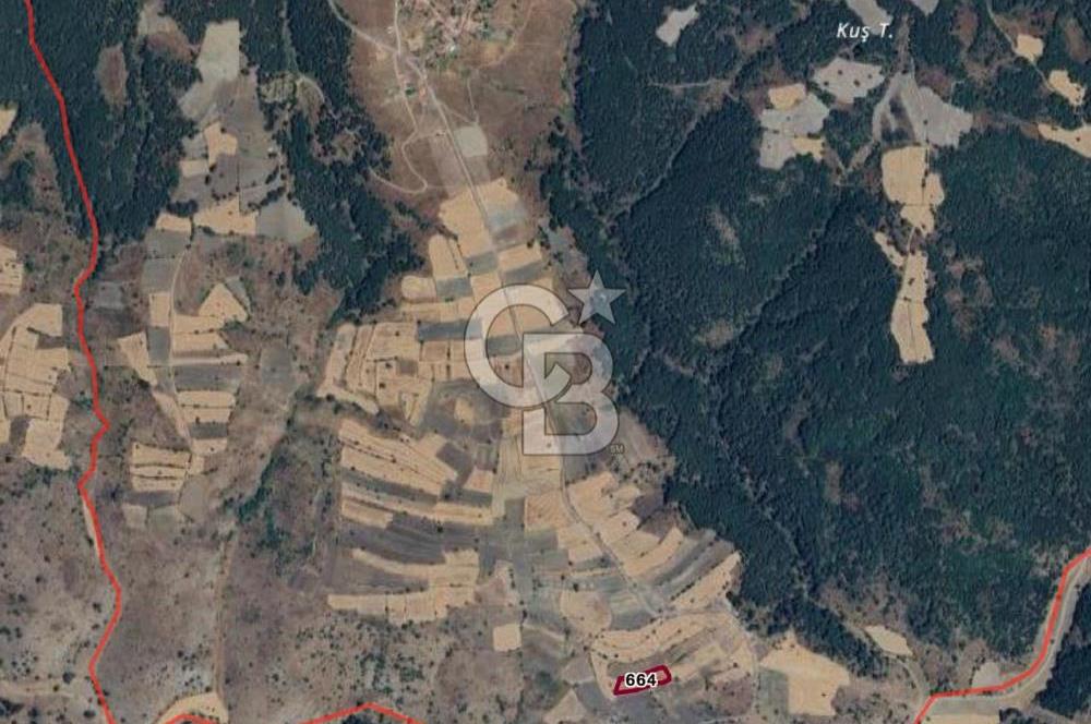 CB ELEGANCE' DEN GÖYNÜCEK KÖYÜNDE SATILIK 4.000 M2 TARLA