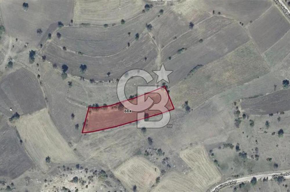 CB ELEGANCE' DEN GÖYNÜCEK KÖYÜNDE SATILIK 4.000 M2 TARLA