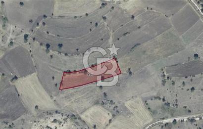 CB ELEGANCE' DEN GÖYNÜCEK KÖYÜNDE SATILIK 4.000 M2 TARLA