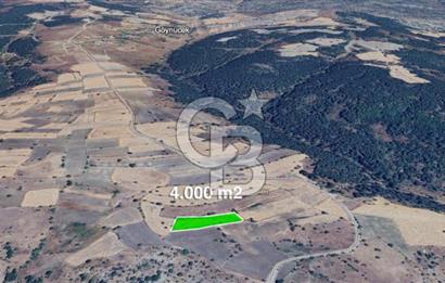 CB ELEGANCE' DEN GÖYNÜCEK KÖYÜNDE SATILIK 4.000 M2 TARLA