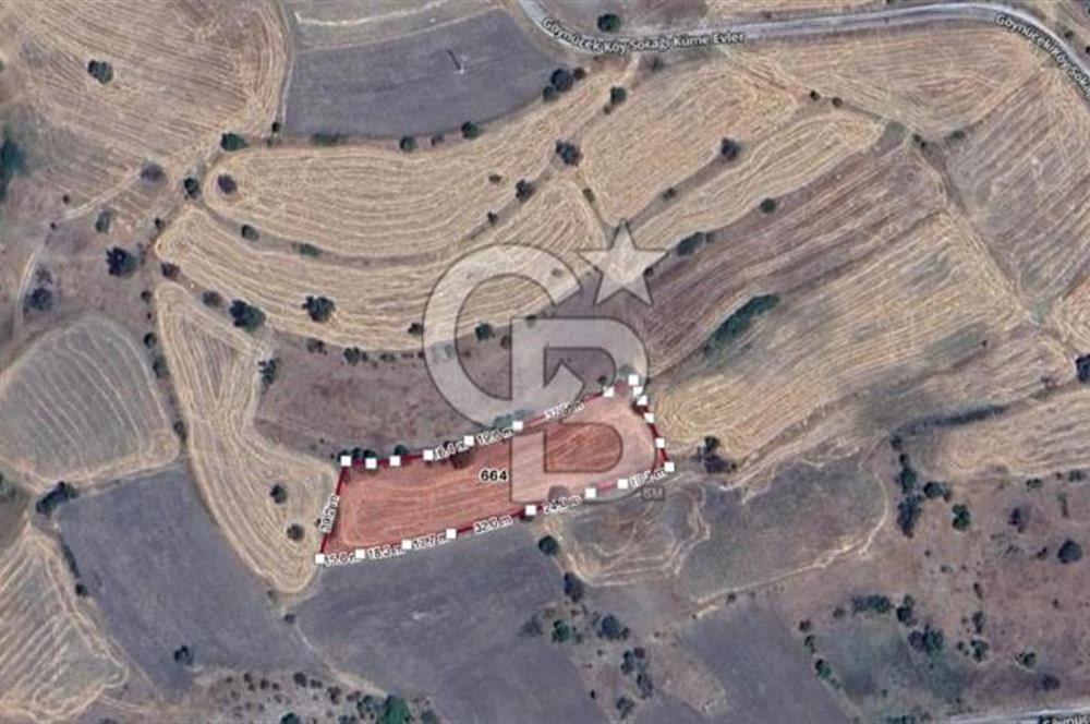 CB ELEGANCE' DEN GÖYNÜCEK KÖYÜNDE SATILIK 4.000 M2 TARLA