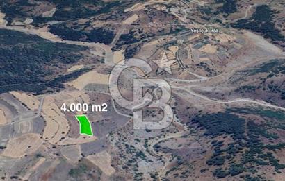 CB ELEGANCE' DEN GÖYNÜCEK KÖYÜNDE SATILIK 4.000 M2 TARLA