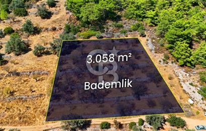 Yakaköy'de, Resmi Yola Cepheli ve Doğa Manzaralı Bademlik