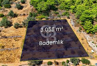 Yakaköy'de, Resmi Yola Cepheli ve Doğa Manzaralı Bademlik