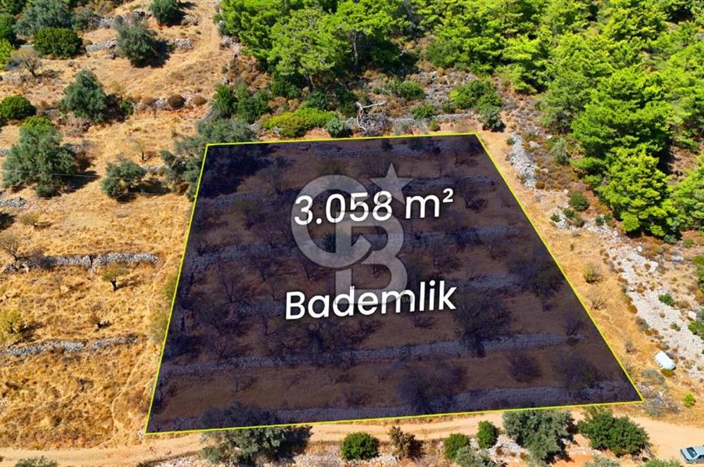 Yakaköy'de, Resmi Yola Cepheli ve Doğa Manzaralı Bademlik