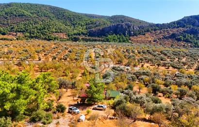 Yakaköy'de, Resmi Yola Cepheli ve Doğa Manzaralı Bademlik