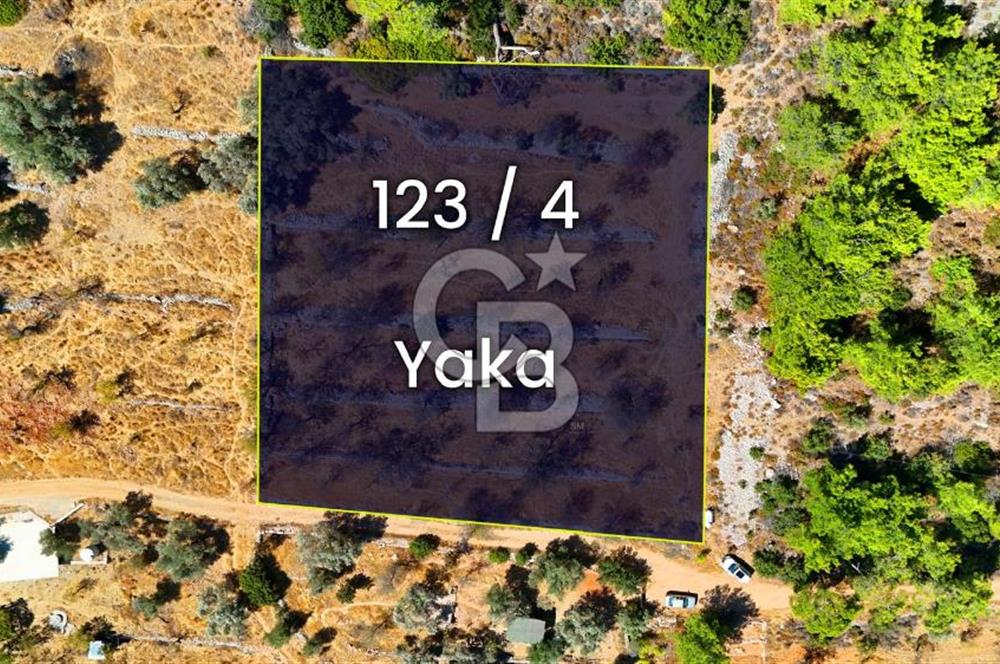 Yakaköy'de, Resmi Yola Cepheli ve Doğa Manzaralı Bademlik