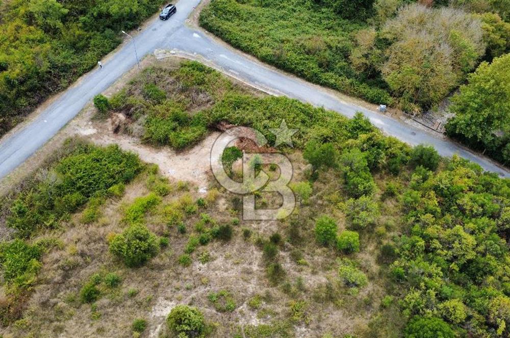 Durusupark Sitesi’nde İmarı Hazır 2.850 m² Arsa – Yatırım ve Yaşam İçin Eşsiz Fırsat