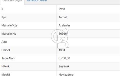 Torbalı'da 6700 m2 Zeytinlik!!!