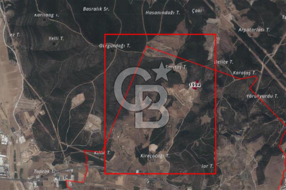 Torbalı'da 6700 m2 Zeytinlik!!!