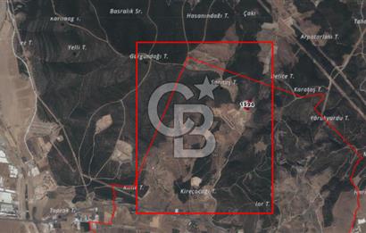 Torbalı'da 6700 m2 Zeytinlik!!!