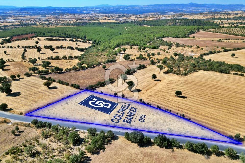 CB OPİA'DAN YATIRIM DEĞERİ YÜKSEK SATILIK TARLA