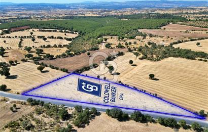 CB OPİA'DAN YATIRIM DEĞERİ YÜKSEK SATILIK TARLA