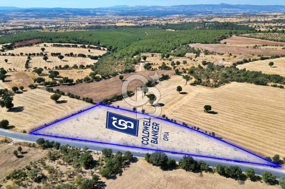 CB OPİA'DAN YATIRIM DEĞERİ YÜKSEK SATILIK TARLA