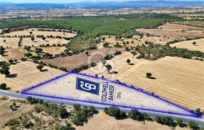 CB OPİA'DAN YATIRIM DEĞERİ YÜKSEK SATILIK TARLA