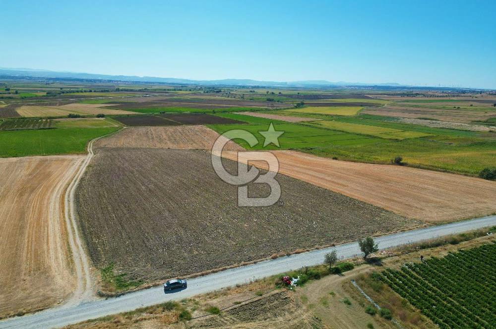 Çanakkale Kumkale’de 17.428 m² Satılık Tarım Arazisi
