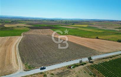 Çanakkale Kumkale’de 17.428 m² Satılık Tarım Arazisi