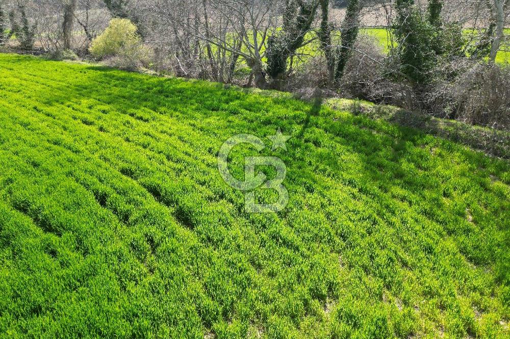 Gelibolu Ilgardere köyünde İmar Sınırında Yatırımlık Müstakil Tarla!