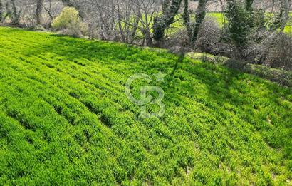 Gelibolu Ilgardere köyünde İmar Sınırında Yatırımlık Müstakil Tarla!