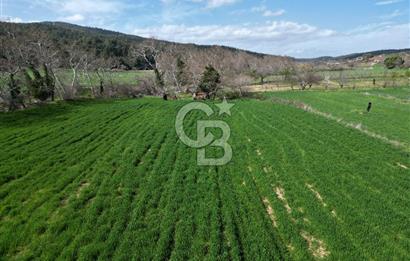 Gelibolu Ilgardere köyünde İmar Sınırında Yatırımlık Müstakil Tarla!