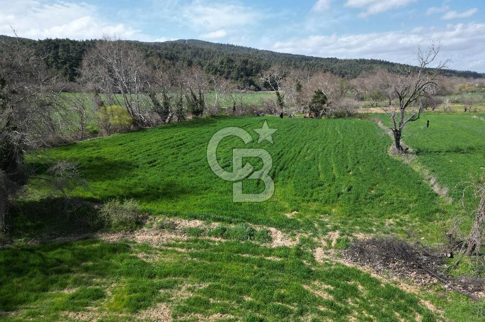 Gelibolu Ilgardere köyünde İmar Sınırında Yatırımlık Müstakil Tarla!