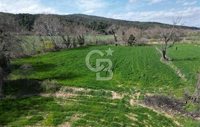 Gelibolu Ilgardere köyünde İmar Sınırında Yatırımlık Müstakil Tarla!