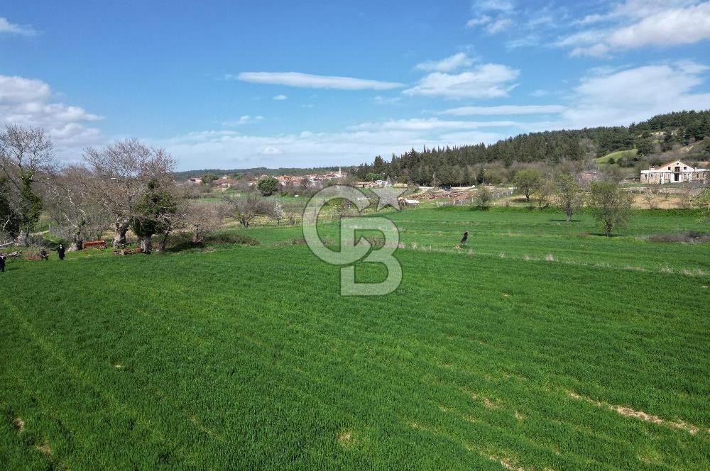 Gelibolu Ilgardere köyünde İmar Sınırında Yatırımlık Müstakil Tarla!