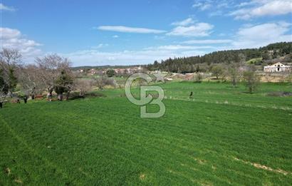 Gelibolu Ilgardere köyünde İmar Sınırında Yatırımlık Müstakil Tarla!