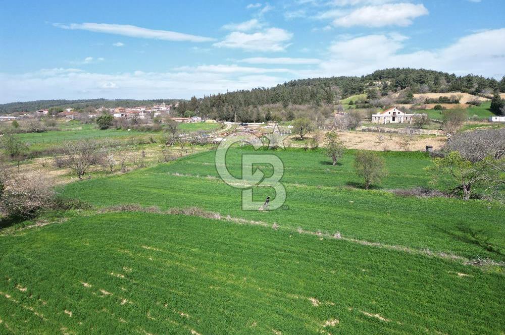 Gelibolu Ilgardere köyünde İmar Sınırında Yatırımlık Müstakil Tarla!