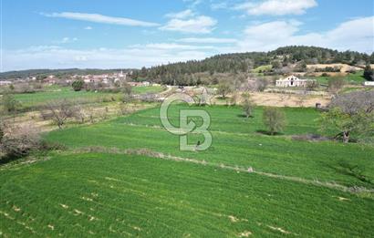 Gelibolu Ilgardere köyünde İmar Sınırında Yatırımlık Müstakil Tarla!