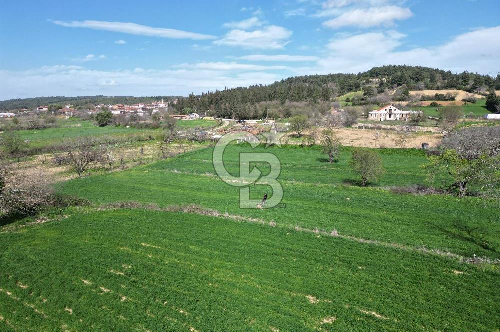 Gelibolu Ilgardere köyünde İmar Sınırında Yatırımlık Müstakil Tarla!