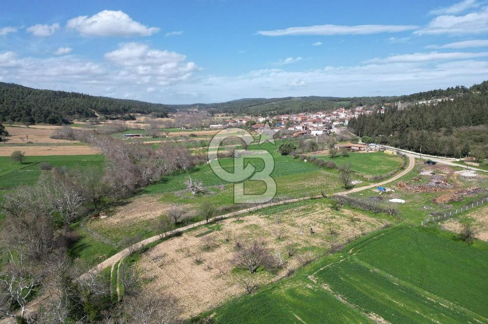 Gelibolu Ilgardere köyünde İmar Sınırında Yatırımlık Müstakil Tarla!