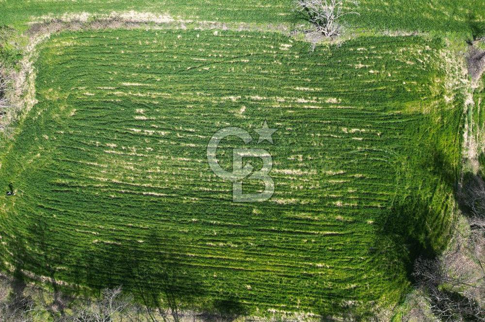 Gelibolu Ilgardere köyünde İmar Sınırında Yatırımlık Müstakil Tarla!