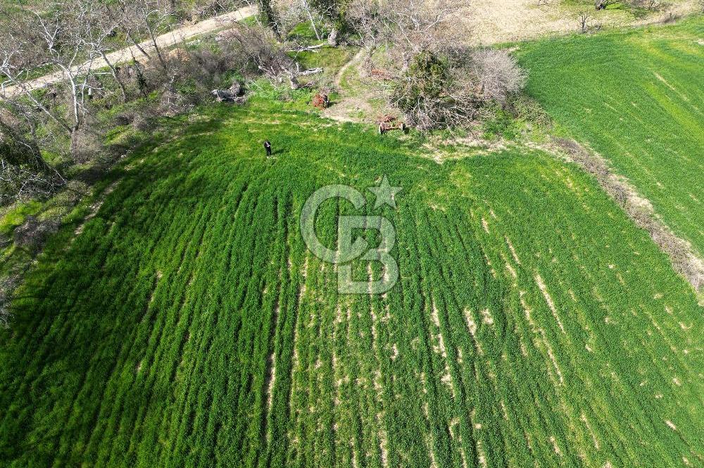 Gelibolu Ilgardere köyünde İmar Sınırında Yatırımlık Müstakil Tarla!
