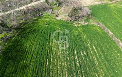 Gelibolu Ilgardere köyünde İmar Sınırında Yatırımlık Müstakil Tarla!