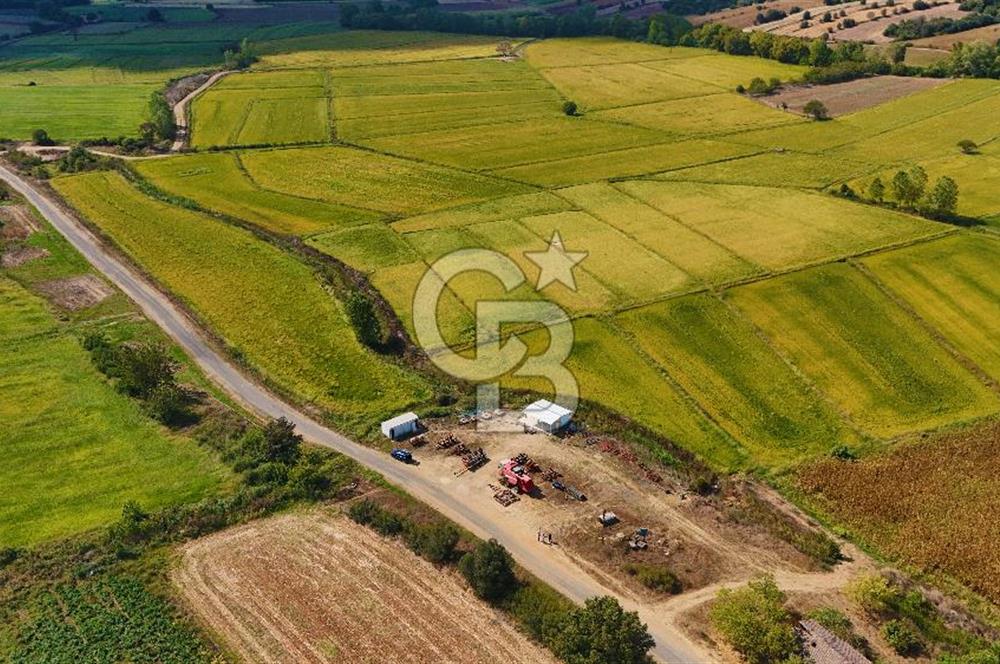ÇANAKKALE BİGA DA YOLA CEPHE FIRSAT TARLA