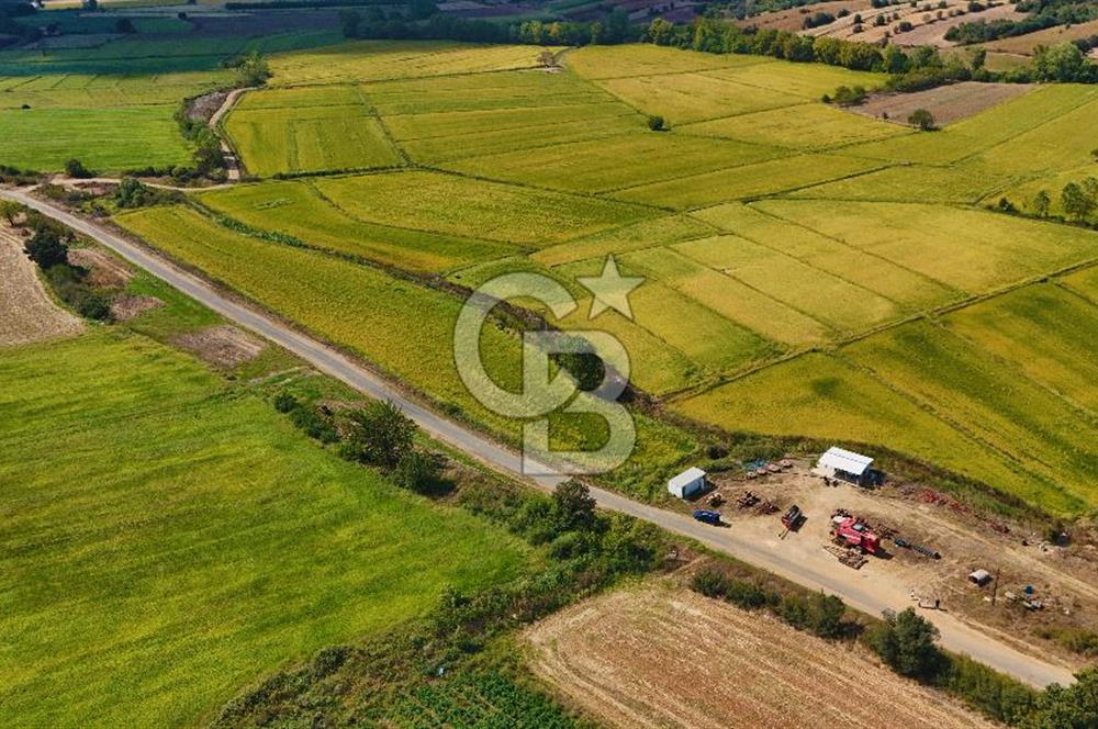 ÇANAKKALE BİGA DA YOLA CEPHE FIRSAT TARLA