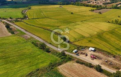 ÇANAKKALE BİGA DA YOLA CEPHE FIRSAT TARLA