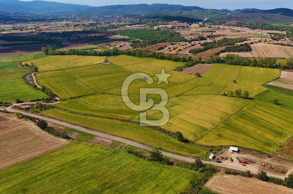 ÇANAKKALE BİGA DA YOLA CEPHE FIRSAT TARLA