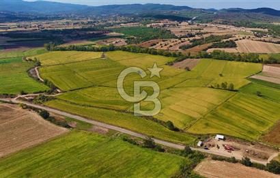 ÇANAKKALE BİGA DA YOLA CEPHE FIRSAT TARLA