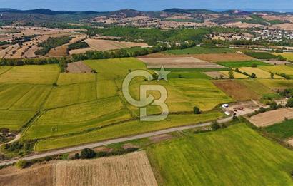 ÇANAKKALE BİGA DA YOLA CEPHE FIRSAT TARLA