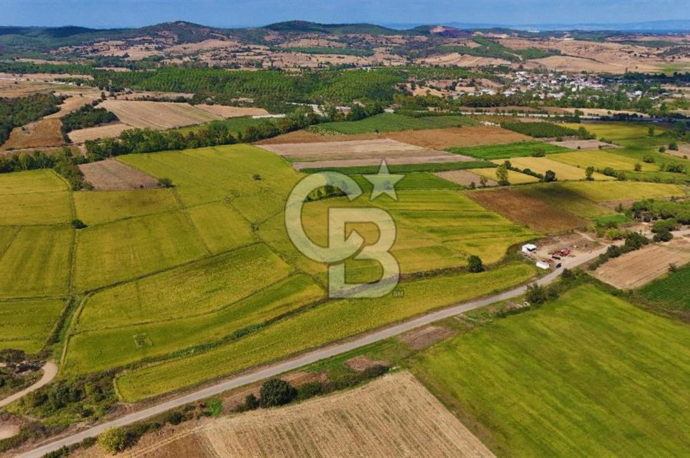 ÇANAKKALE BİGA DA YOLA CEPHE FIRSAT TARLA