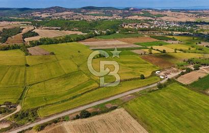 ÇANAKKALE BİGA DA YOLA CEPHE FIRSAT TARLA